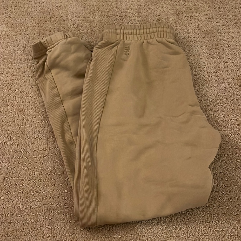 Aritzia TNA sweatpants